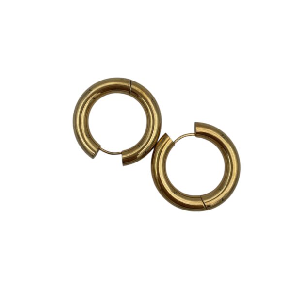 Orecchini cerchietti big gold